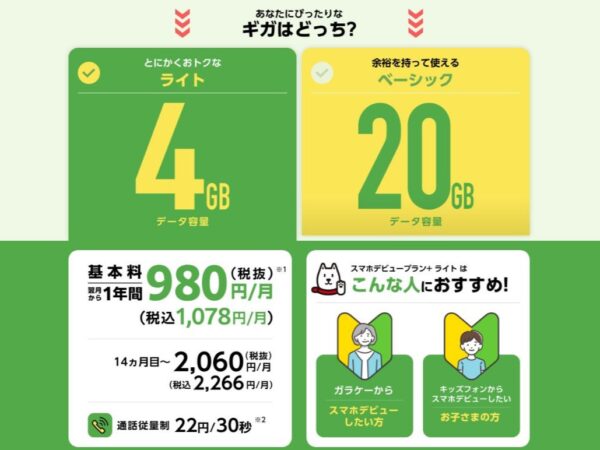 4GB 20GB DenpaNews 4gb-20gb-denpanews