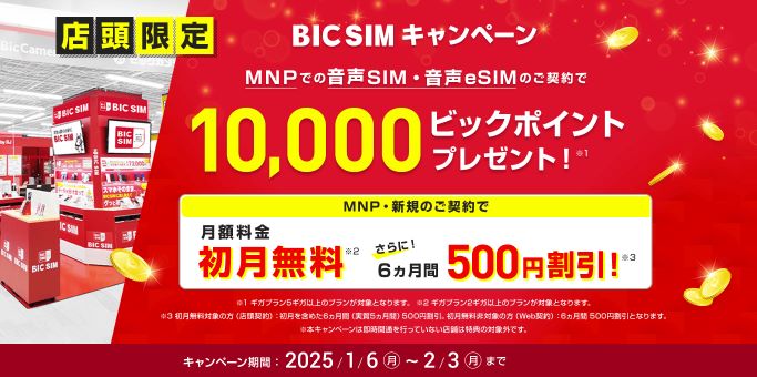 BIC SIM、店頭申込限定のお得なキャンペーンを実施中 | DenpaNews